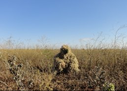 Маскировочные костюмы для охоты в интернет-магазине в Воронеже, купить маскировочную сеть с доставкой картинка 4
