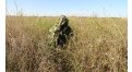 Маскировочный халат Taganrog Кикимора – купить по цене 3550 руб. в интернет-магазине в городе Воронеж картинка 13