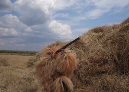 Маскировочная одежда для охоты в интернет-магазине в Воронеже, купить маскировочную сеть с доставкой картинка 28